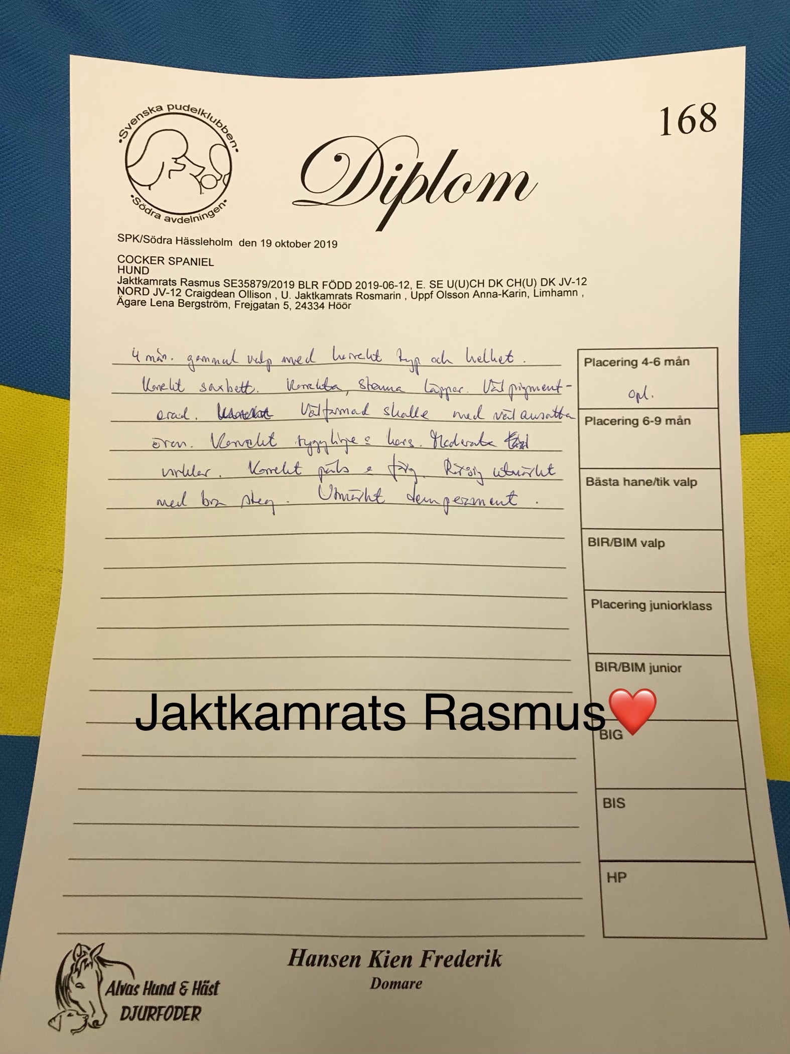 Rasmus första utställning❤️